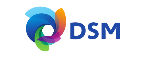 dsm_logo.png